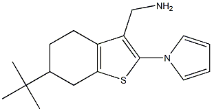 [6-tert-butyl-2-(1H-pyrrol-1-yl)-4,5,6,7-tetrahydro-1-benzothien-3-yl]methylamine Struktur
