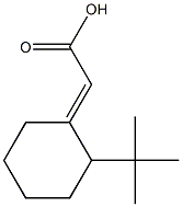 2-(2-tert-butylcyclohexylidene)acetic acid