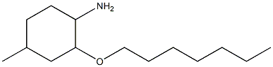 2-(heptyloxy)-4-methylcyclohexan-1-amine|