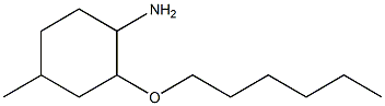 2-(hexyloxy)-4-methylcyclohexan-1-amine Struktur