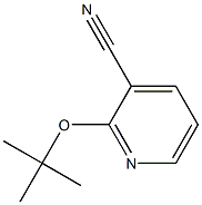 2-(tert-butoxy)pyridine-3-carbonitrile Struktur