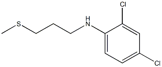 2,4-dichloro-N-[3-(methylsulfanyl)propyl]aniline Struktur