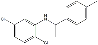  2,5-dichloro-N-[1-(4-methylphenyl)ethyl]aniline