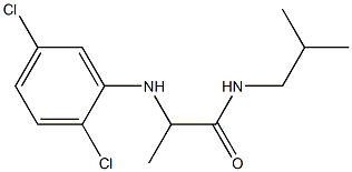 2-[(2,5-dichlorophenyl)amino]-N-(2-methylpropyl)propanamide