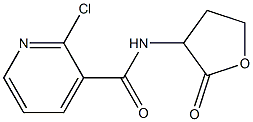  2-chloro-N-(2-oxooxolan-3-yl)pyridine-3-carboxamide
