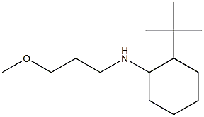 2-tert-butyl-N-(3-methoxypropyl)cyclohexan-1-amine 结构式