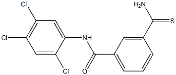3-carbamothioyl-N-(2,4,5-trichlorophenyl)benzamide 结构式