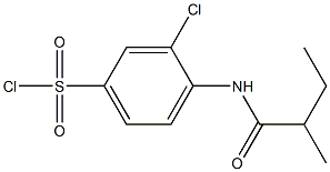 3-chloro-4-(2-methylbutanamido)benzene-1-sulfonyl chloride Structure