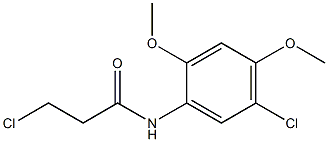 3-chloro-N-(5-chloro-2,4-dimethoxyphenyl)propanamide,,结构式