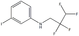 3-iodo-N-(2,2,3,3-tetrafluoropropyl)aniline Struktur