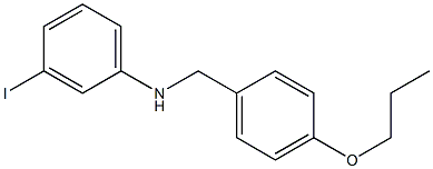 3-iodo-N-[(4-propoxyphenyl)methyl]aniline 结构式