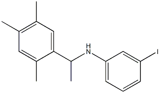 3-iodo-N-[1-(2,4,5-trimethylphenyl)ethyl]aniline Structure