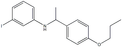 3-iodo-N-[1-(4-propoxyphenyl)ethyl]aniline