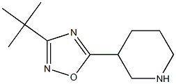 3-tert-butyl-5-(piperidin-3-yl)-1,2,4-oxadiazole Structure