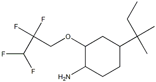  4-(2-methylbutan-2-yl)-2-(2,2,3,3-tetrafluoropropoxy)cyclohexan-1-amine
