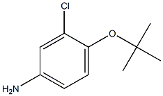 4-(tert-butoxy)-3-chloroaniline 结构式