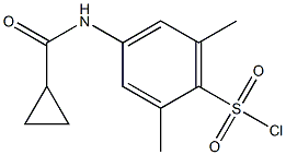 4-[(cyclopropylcarbonyl)amino]-2,6-dimethylbenzenesulfonyl chloride Structure