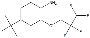 4-tert-butyl-2-(2,2,3,3-tetrafluoropropoxy)cyclohexan-1-amine