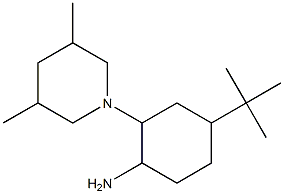4-tert-butyl-2-(3,5-dimethylpiperidin-1-yl)cyclohexan-1-amine Structure