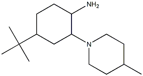 4-tert-butyl-2-(4-methylpiperidin-1-yl)cyclohexan-1-amine Structure