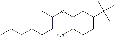 4-tert-butyl-2-(octan-2-yloxy)cyclohexan-1-amine