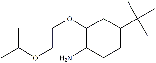 4-tert-butyl-2-[2-(propan-2-yloxy)ethoxy]cyclohexan-1-amine