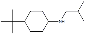 4-tert-butyl-N-(2-methylpropyl)cyclohexan-1-amine