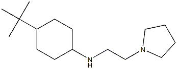4-tert-butyl-N-[2-(pyrrolidin-1-yl)ethyl]cyclohexan-1-amine 化学構造式