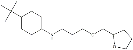 4-tert-butyl-N-[3-(oxolan-2-ylmethoxy)propyl]cyclohexan-1-amine