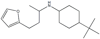 4-tert-butyl-N-[4-(furan-2-yl)butan-2-yl]cyclohexan-1-amine Structure