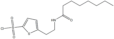5-(2-octanamidoethyl)thiophene-2-sulfonyl chloride Struktur