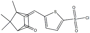 5-[(Z)-(1,7,7-trimethyl-3-oxobicyclo[2.2.1]hept-2-ylidene)methyl]thiophene-2-sulfonyl chloride 结构式