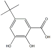 5-tert-butyl-2,3-dihydroxybenzoic acid Structure