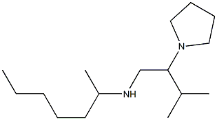 heptan-2-yl[3-methyl-2-(pyrrolidin-1-yl)butyl]amine|