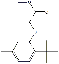 methyl 2-(2-tert-butyl-5-methylphenoxy)acetate Struktur