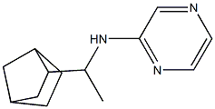  N-(1-{bicyclo[2.2.1]heptan-2-yl}ethyl)pyrazin-2-amine