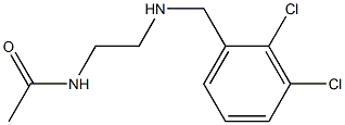  N-(2-{[(2,3-dichlorophenyl)methyl]amino}ethyl)acetamide