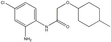 N-(2-amino-4-chlorophenyl)-2-[(4-methylcyclohexyl)oxy]acetamide Struktur