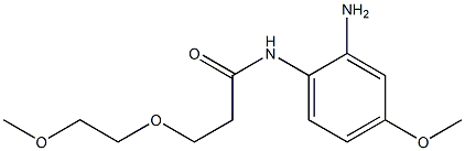 N-(2-amino-4-methoxyphenyl)-3-(2-methoxyethoxy)propanamide Struktur