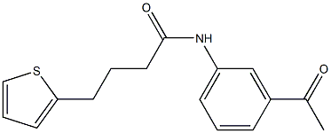 N-(3-acetylphenyl)-4-thien-2-ylbutanamide 结构式