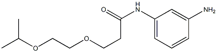 N-(3-aminophenyl)-3-[2-(propan-2-yloxy)ethoxy]propanamide