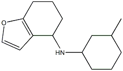 N-(3-methylcyclohexyl)-4,5,6,7-tetrahydro-1-benzofuran-4-amine Struktur