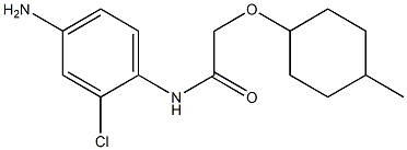 N-(4-amino-2-chlorophenyl)-2-[(4-methylcyclohexyl)oxy]acetamide 结构式