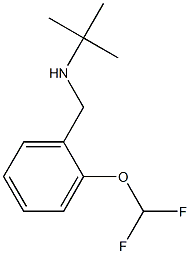 tert-butyl({[2-(difluoromethoxy)phenyl]methyl})amine