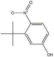  3-tert-butyl-4-nitrophenol