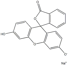 Fluorescein  Sodium  salt  -  CAPS  solution 化学構造式