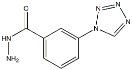 3-(1H-tetrazol-1-yl)benzohydrazide Structure