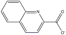 キノリン-2-カルボキシラート 化学構造式