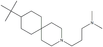 9-tert-ブチル-3-[3-(ジメチルアミノ)プロピル]-3-アザスピロ[5.5]ウンデカン 化学構造式
