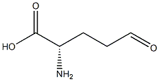(2S)-2-Amino-5-oxopentanoic acid Struktur